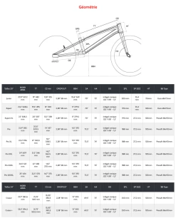 Cadre MARSHAL Serie THE CONDOR’S FLIGHT Red Pearl -Accessoires Vélo Soldes Geometrie cadre marshal the condors 1