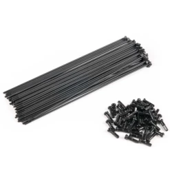 Pack ECLAT De 40 Rayons Plain Gauge