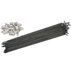 LES TROIS ROUX Pack LTR De 20 Rayons Stainless Black / Silver