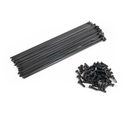 Pack WETHEPEOPLE De 40 Rayons Special 22″