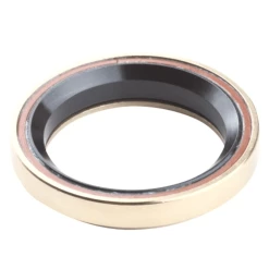 Roulement Direction DARTMOOR Integreted Titanium (l’unité)